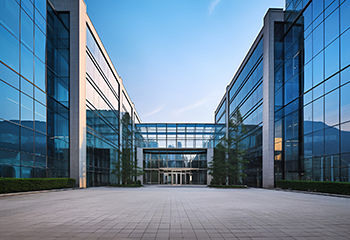 凤凰(北京)控股集团有限公司的企业实力和愿景