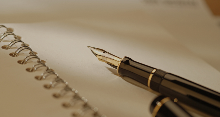 手机端品牌动态